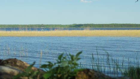 Beautiful-view-of-a-Lake-Usma-shore-on-a-sunny-summer-day,-distant-islands-with-lush-green-forest,-rural-landscape,-coast-with-old-reeds,-wide-shot-with-boats-on-the-water