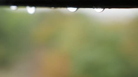 rain falling outdoor and from the rooftop in the row close-up natural 4k