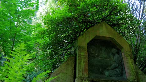 Overgrown-Grave-in-the-Woods