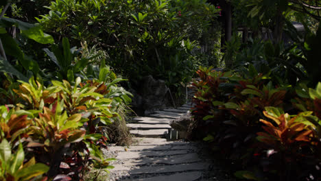 typical oriental path with stones and flagstones surrounded by vegetation