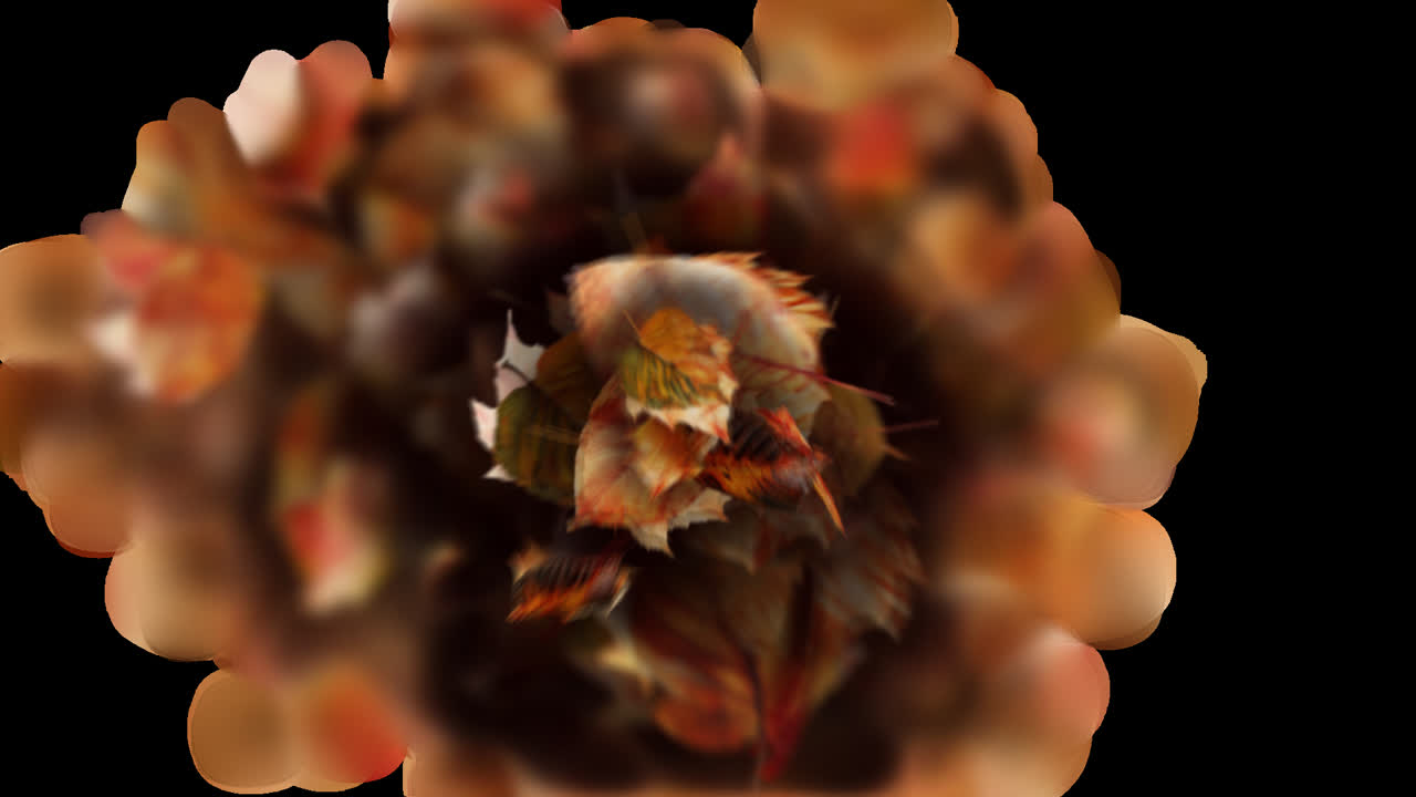 Autumn Leaves Transition or Reveal Element with Alpha Channel