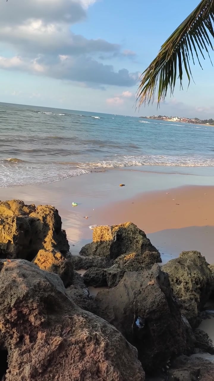 Costa de Praia Tropical com Afloramentos Rochosos e Folhas de Palmeira