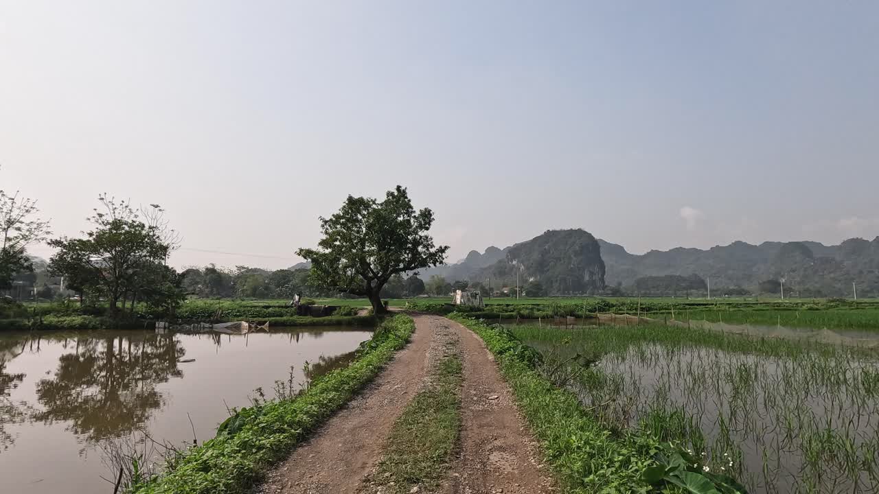 울창 한   사이 의 조용 한 길