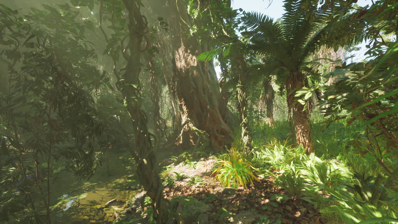 un denso y exuberante bosque tropical