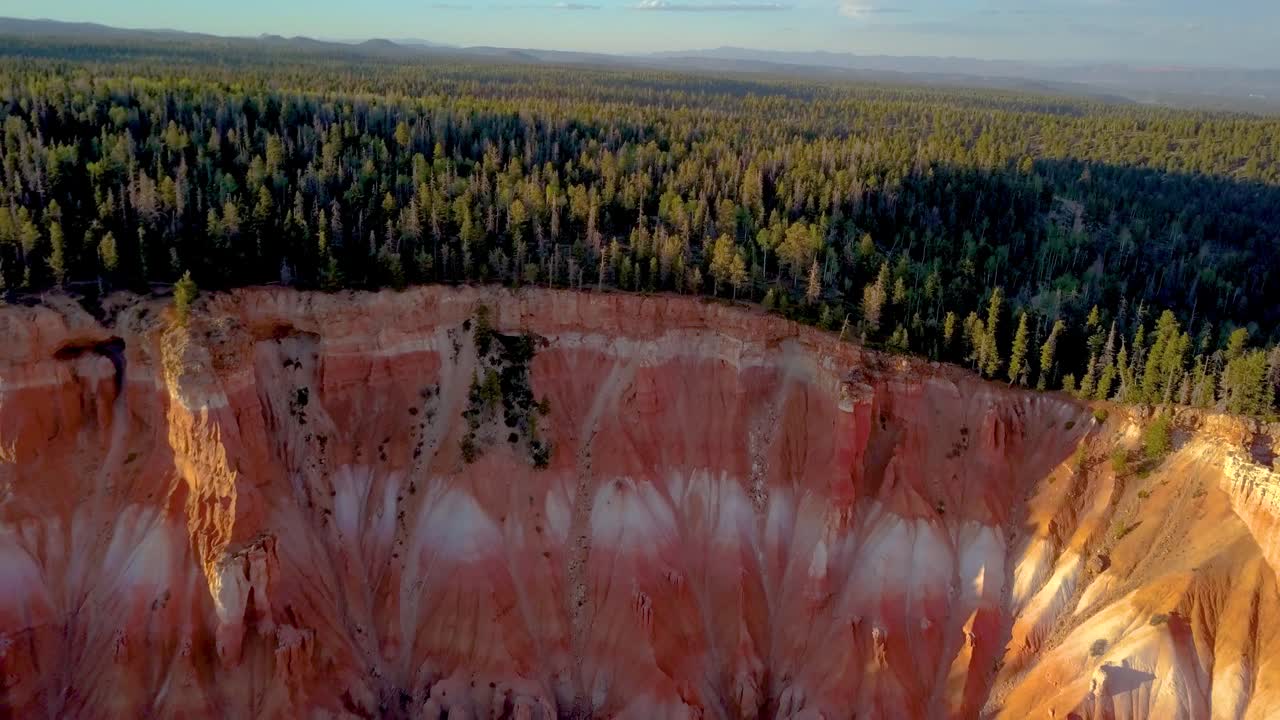 Mountain Forest Cliff-side back away