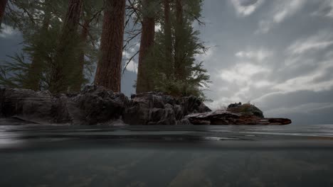 Half-underwater-in-northern-sea-with-rocks