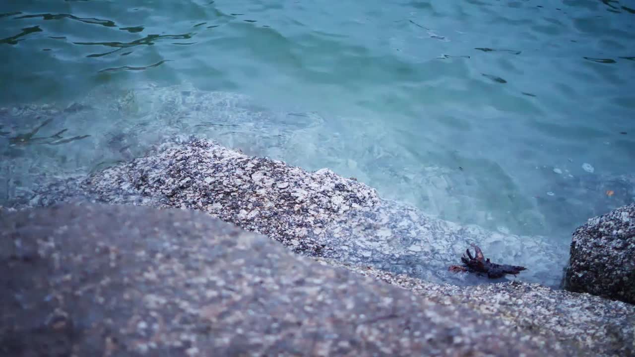 вода бьется о берег с волнами на озере