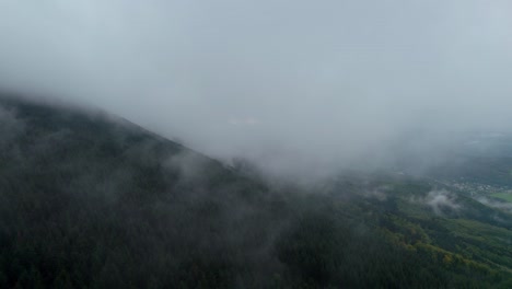 mountains covered with dense dark forests on a