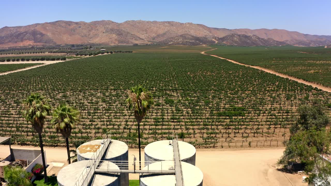 DRONE: DOLLY IN SHOT AT A BIG WINERY IN GUADALUPE VALLEY AND VINEYARDS AT NOON
