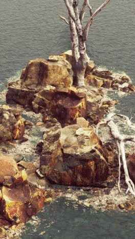 a dead tree standing on a rocky island in the water