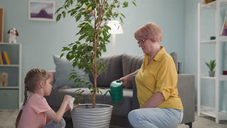 grandmother and child take care of the house plant