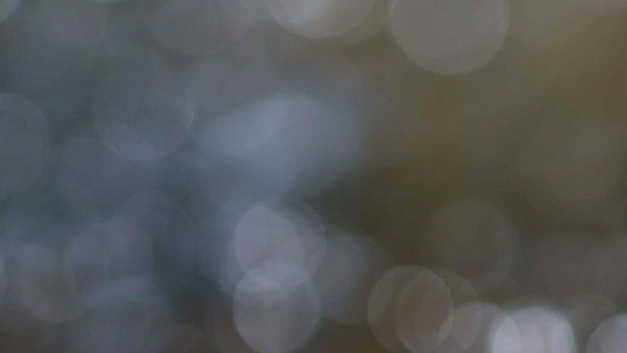 박이는 보케 조명 배경으로 추상적인 흐릿함