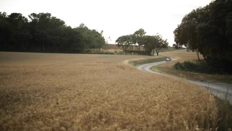 Coche-Viejo-Conduciendo-Por-Un-Campo-De-Trigo