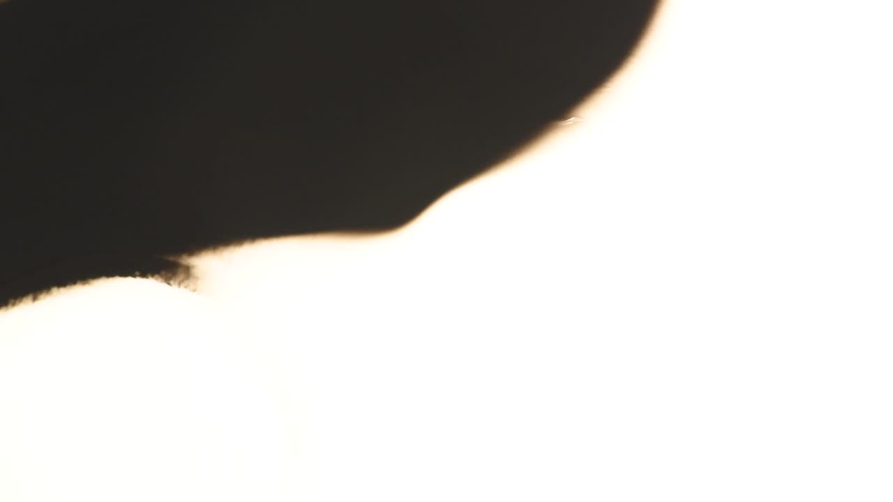 순백의 배경을 따라 강렬한 블랙의 슬라이드 글라이딩