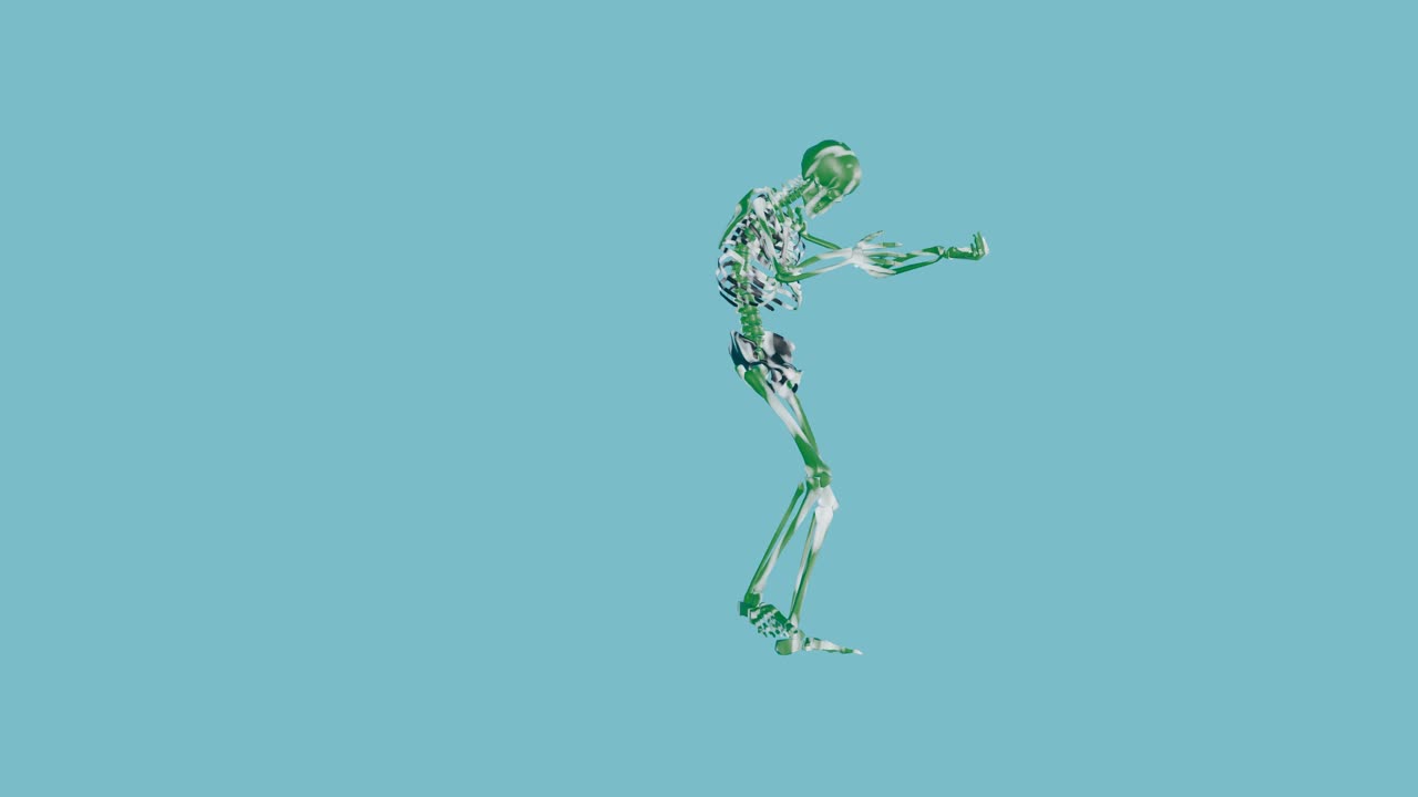 골격 확인 신발.