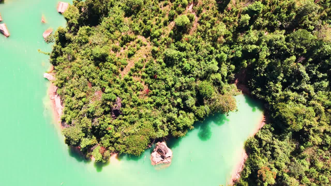 Esplora il rigoglioso paesaggio di Lam Dong, Vietnam, dove i fiumi scorrono pacificamente attraverso una vegetazione abbondante. Goditi la bellezza della natura in un ambiente tropicale