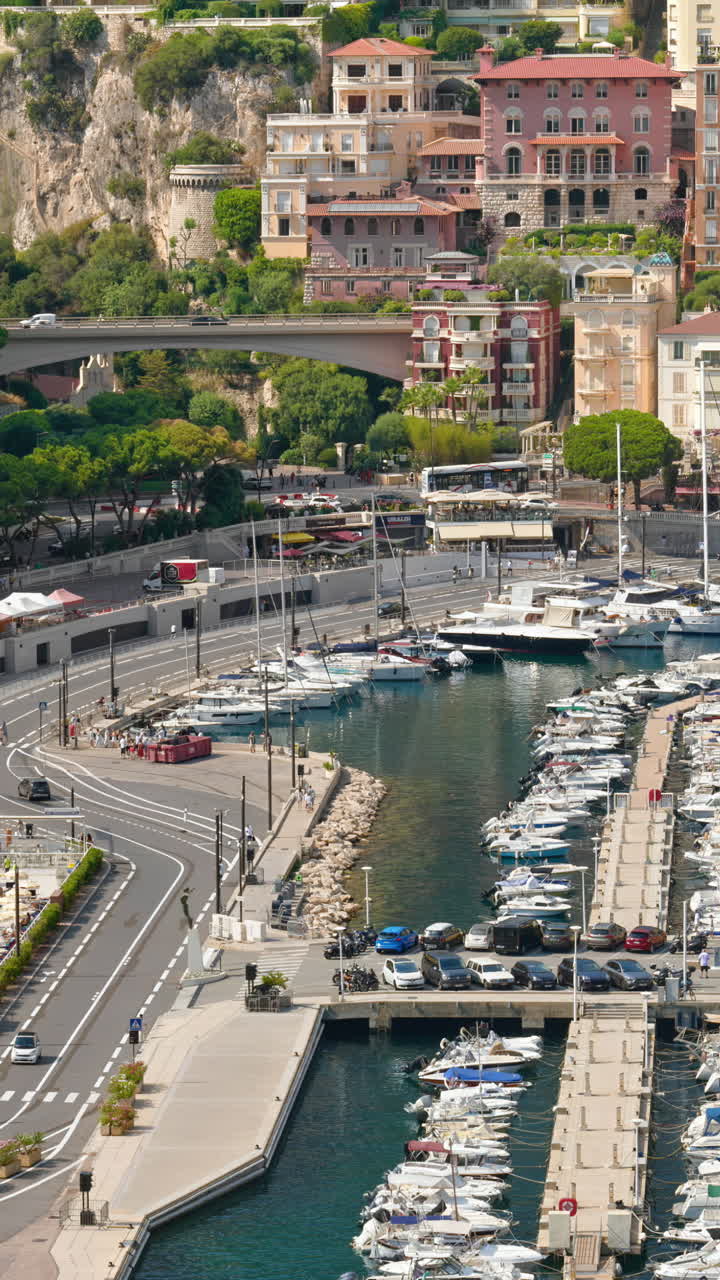 Vista di barche ormeggiate nel porto turistico di Monaco con lo skyline della città sullo sfondo. Verticale