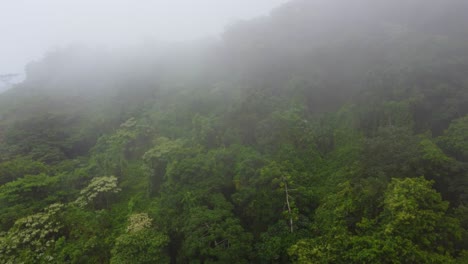 la niebla que envuelve la selva amazónica al amanecer en colombia, américa del sur