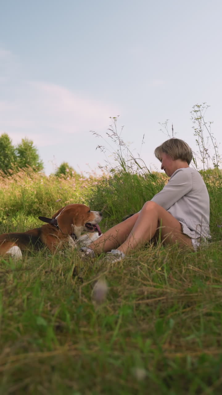 잔디에 앉아있는 반려동물 애호가 한 개의 목을 문지르면서 땅 위에 행복하게 누워 있고 다른 개는 빛이 고 자연스러운 야외 환경에서 초록색 과 나무로 둘러싸여 있습니다.