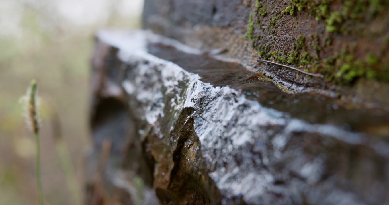 Water Trickling Over Wet Mossy Stone Surface