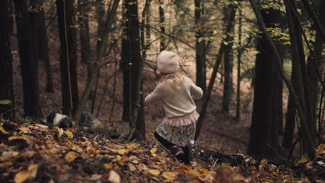 little girl in hat throws stick for dog to fetch in autumn forest, slow motion