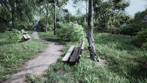 beautiful-bench-in-the-park-at-spring-sunny-day