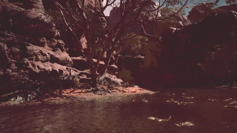 The-Colorado-river-cutting-through-red-sandstone-canyons