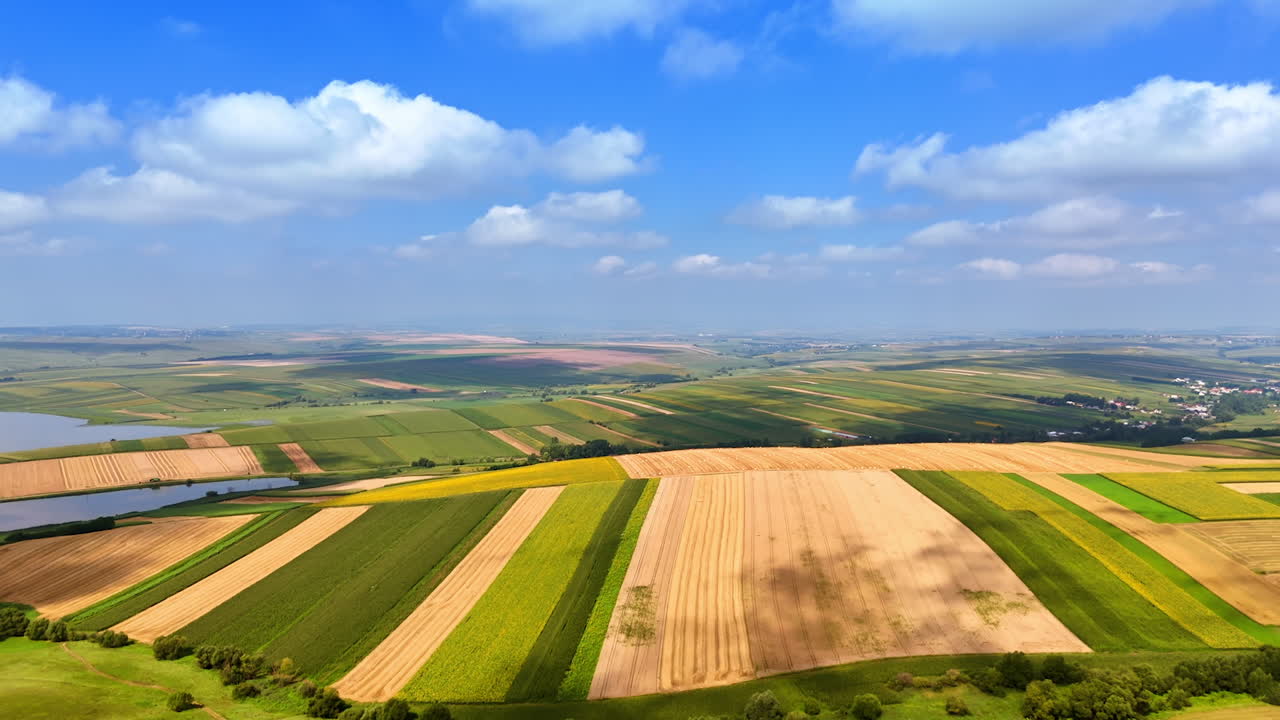 Colorful farm under blue skies. Expansive fields of various crops stretch across the landscape beneath a bright blue sky with fluffy clouds