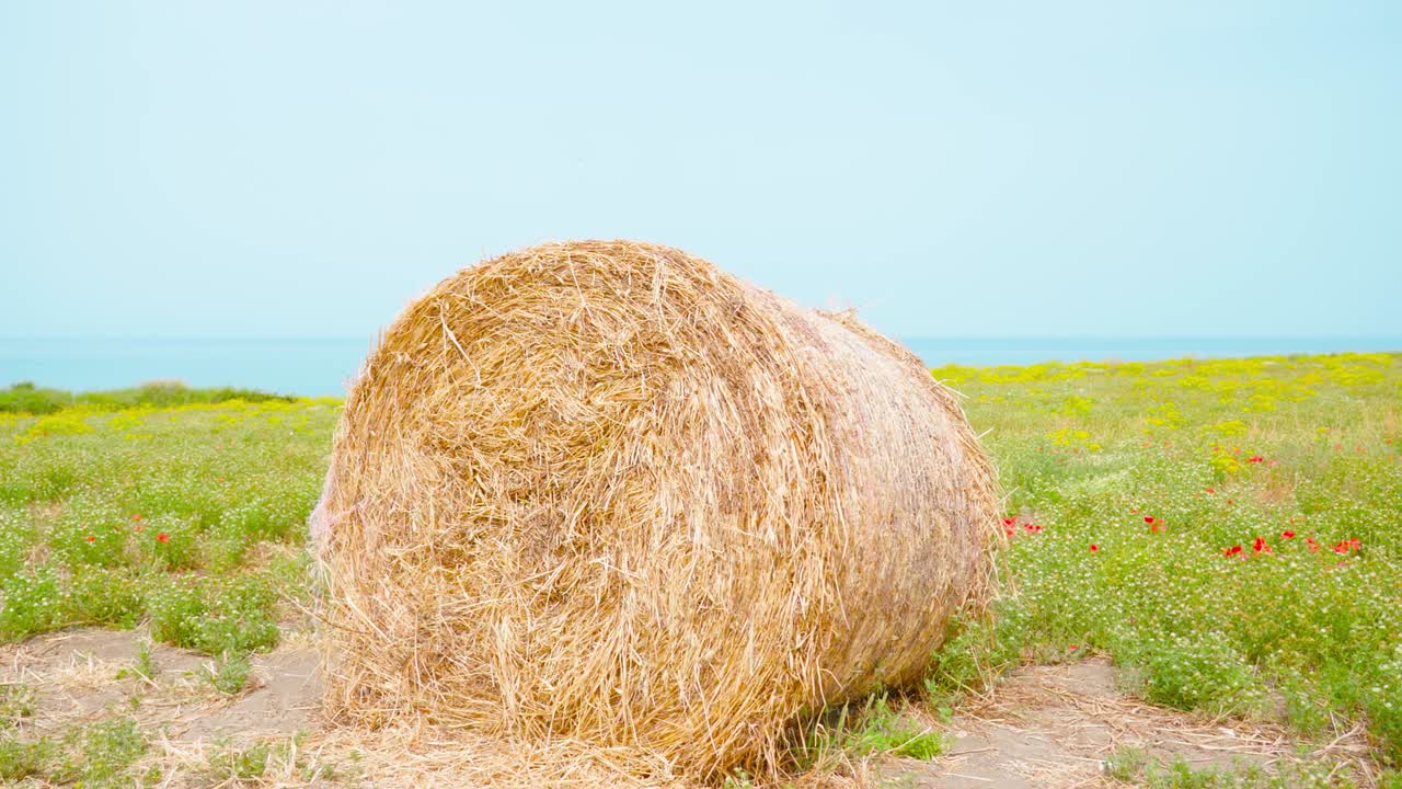 Haystack on the green field in front of the blue sea