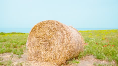 haystack on the green field in front of the blue sea