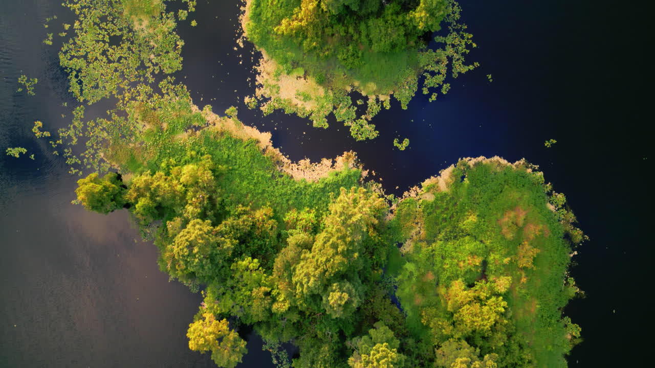 Fly over a lone green island floating in deep blue water, top shot texture with yellow water lilies growing across river and a bird flying across the land