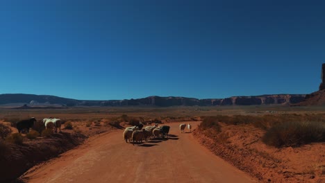 Ovejas-Y-Perros-Pastores-En-Monument-Valley-En-Utah-Y-Arizona