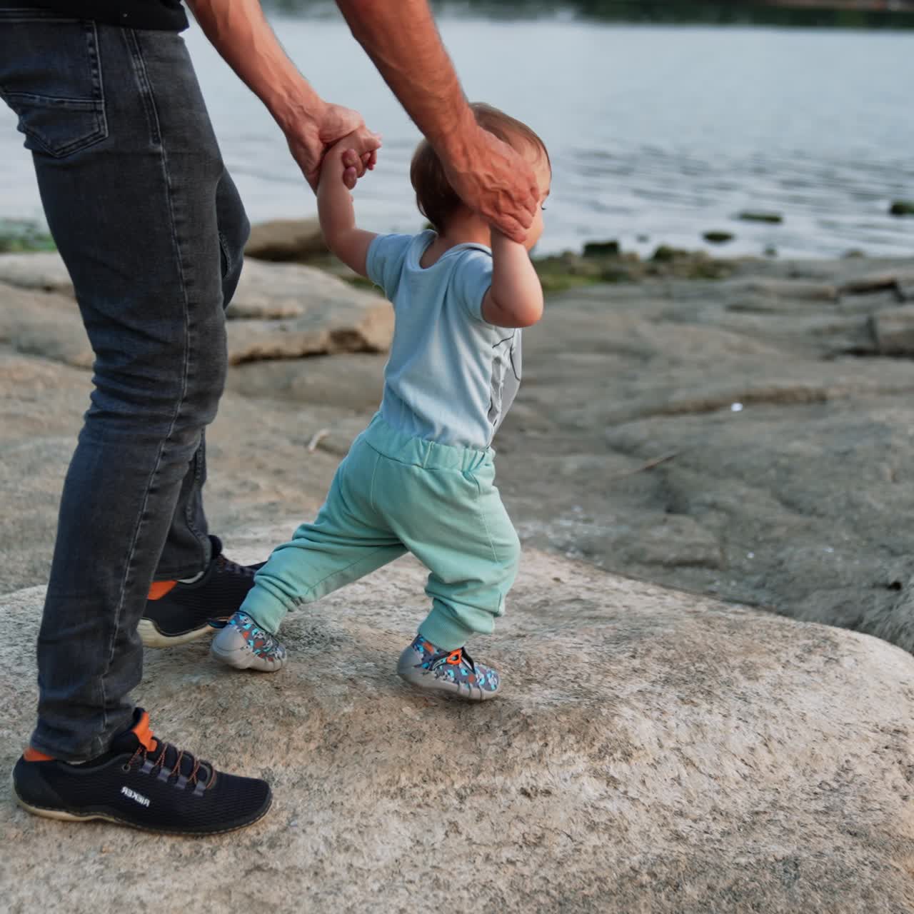 Small kid stepping excitedly by the big smooth stones. Dad supporting little child by the hands. River and wooded bank at backdrop