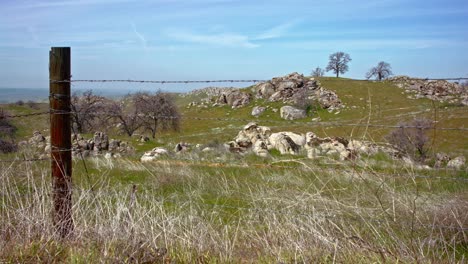 Blumen-Und-Ein-Zaun-In-Einem-Feld---Kern-County,-Kalifornien