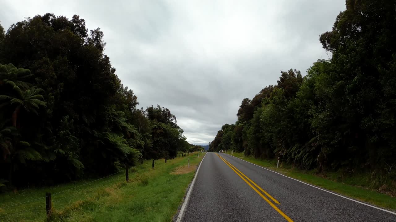 Strada panoramica attraverso una lussureggiante foresta neozelandese