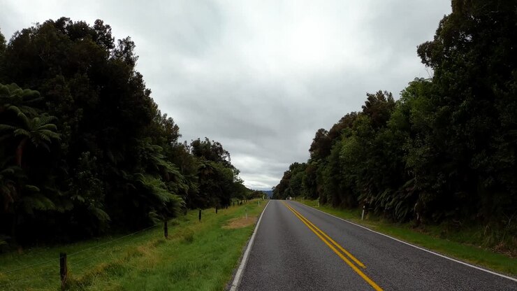 Strada panoramica attraverso una lussureggiante foresta neozelandese
