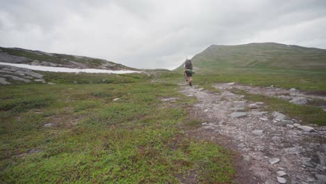 tourist carrying a huge hiking backpack walking with his dog at trekanten mountain trail in norway