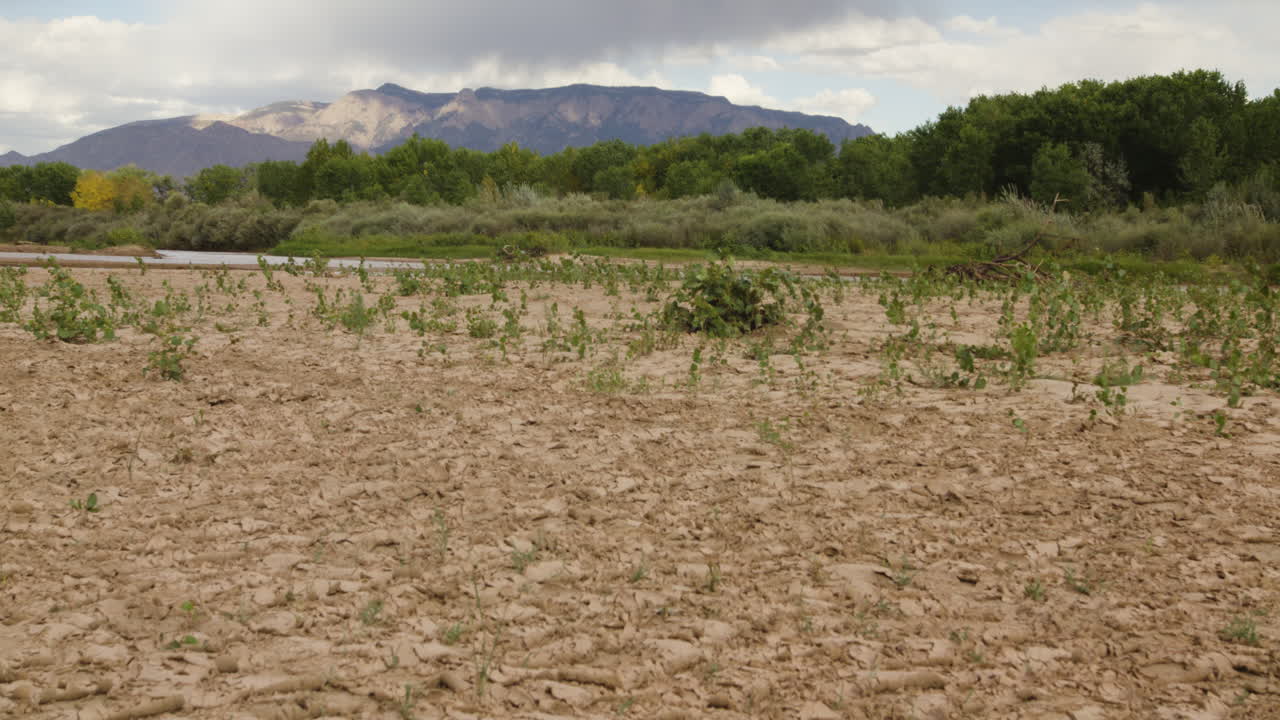 Steady shot of the Rio Grande drying out with Sandia Mountains in the back round.