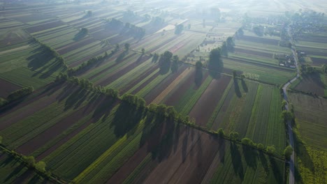 Niebla-Flotando-Sobre-Campos-Adornados-Con-Patrones-Geométricos-De-Parcelas-Plantadas-Hacia-Abajo