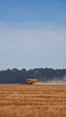 beautiful view of the broad wheat plantation against blue sky. harvester moving slowly far in the distance. dusty trail of straw left behind the machine. vertical video