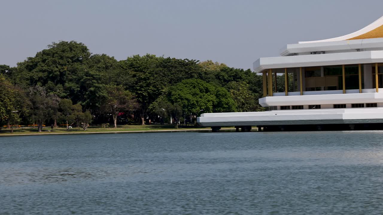 진정 한 공원 호수 를 가로질러 미끄러지는 백조 배
