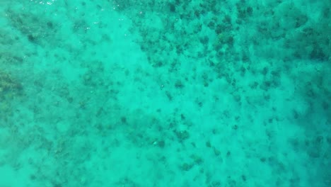 drone de arriba hacia abajo pan a través de cabezas de arrecifes de coral y agua cristalina con arena debajo