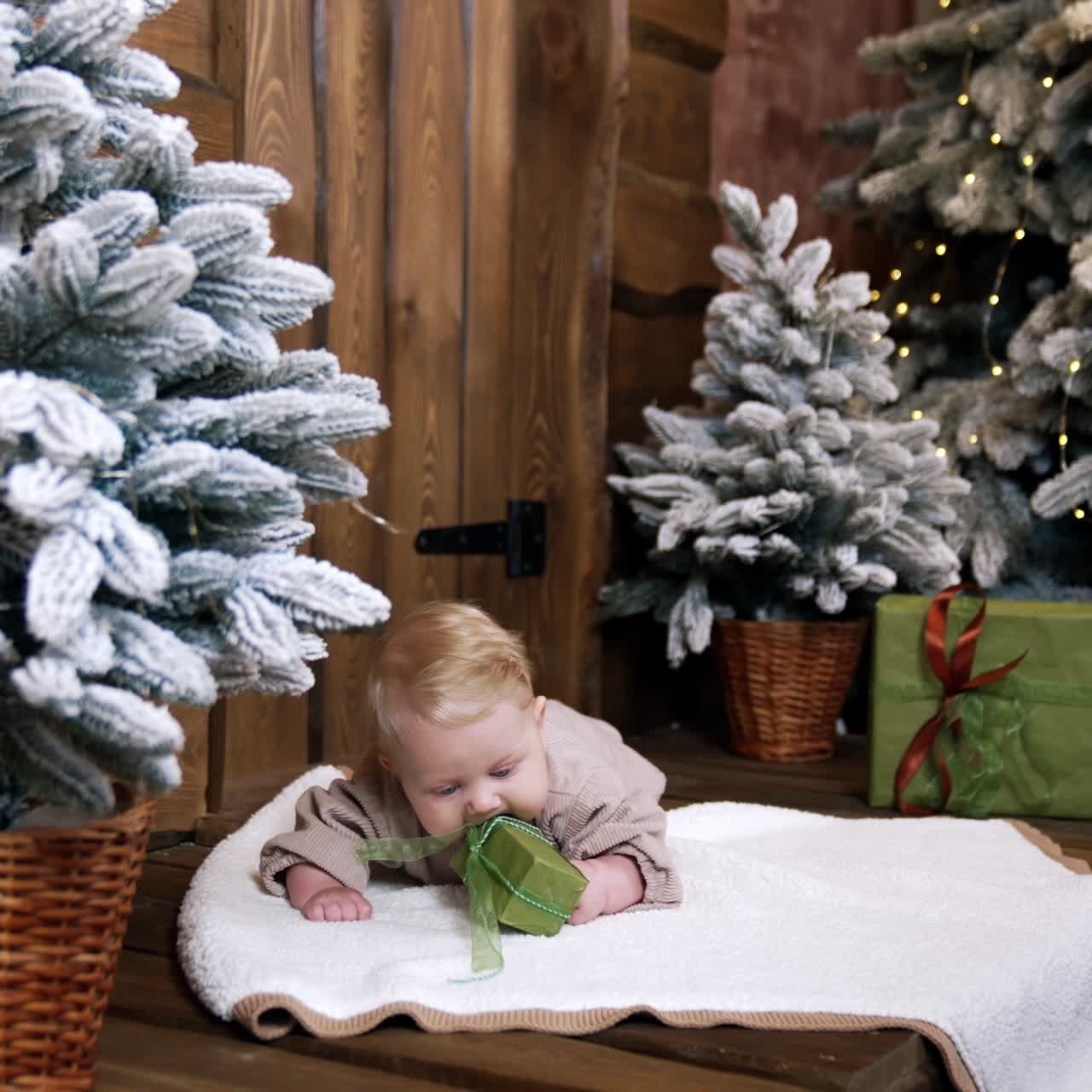 Adorable blond infant lies on the soft plaid among the fir trees. Cute baby pulls the gift box to his mouth