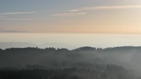 Sunset forest scene horizon view at foggy sunset. Shot on the DJI Air 3S at 4K 60fps.