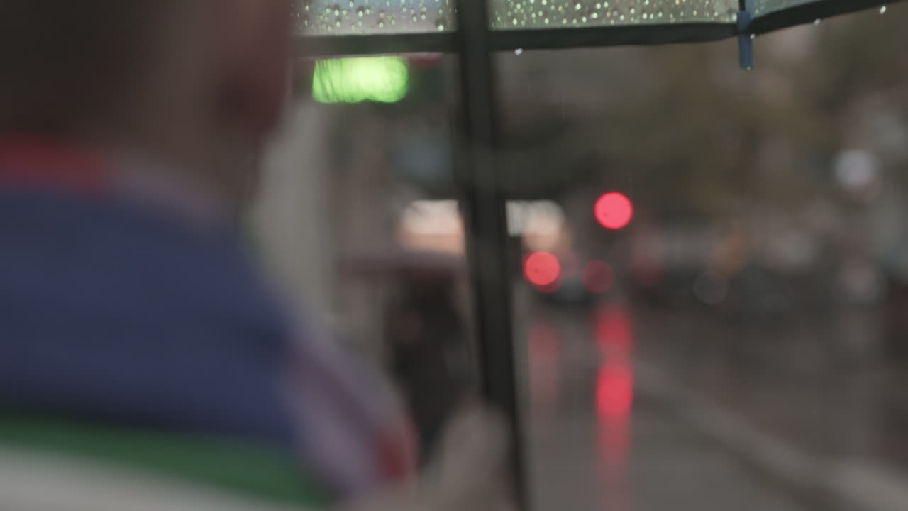 비가 오는 동안 우산을 들고 는 것