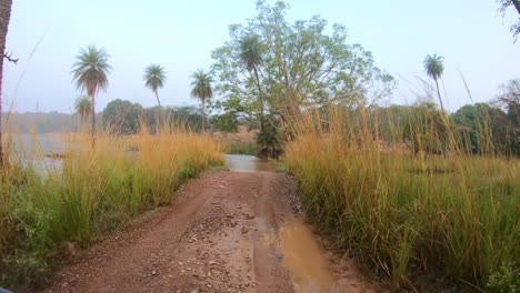 jeep safari tours india. ranthambore national park sawai madhopur rajasthan india