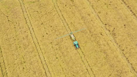 Aerial-top-view-photo-from-flying-drone-of-a-land-with-sown-green-fields-in-countryside-in-spring-day