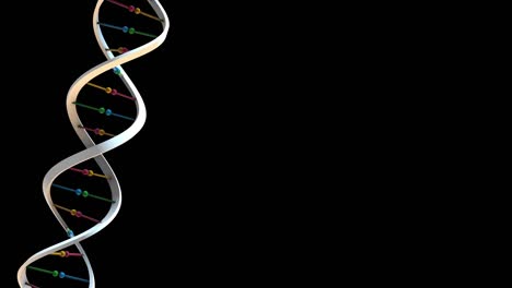 el adn es de color plano.