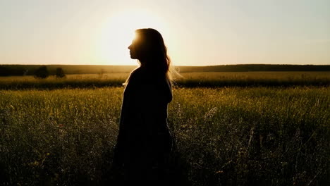 woman's silhouette in a golden sunset field