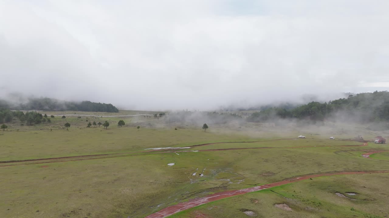 A dreamy landscape of vibrant green grassland covered in mist, with low fluffy clouds drifting peacefully above.